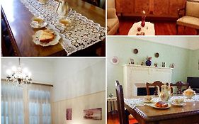 Zeta's vintage house with large terrace&orange tree garden